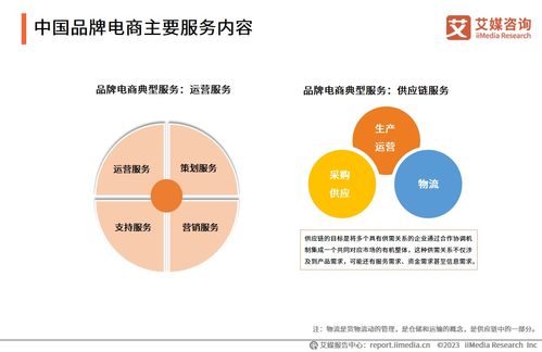 2023年中國品牌電商服務(wù)行業(yè)研究報(bào)告 信息咨詢服務(wù)解析